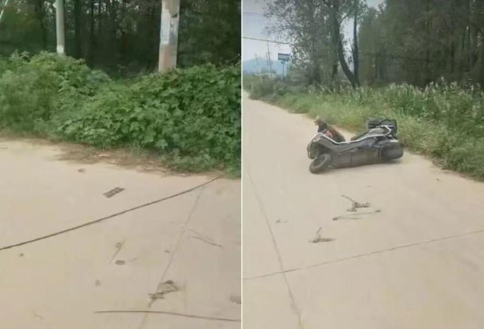 ▲图据都市快报