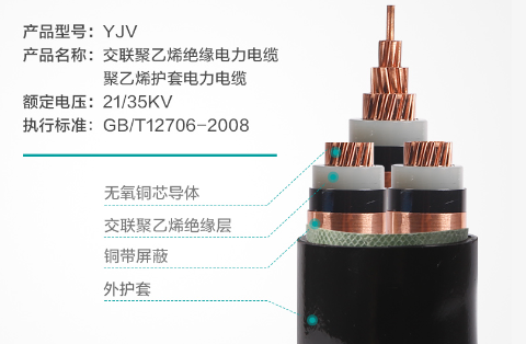 交联聚乙烯绝缘（钢带铠装）聚氯乙烯护套中压 电力电缆